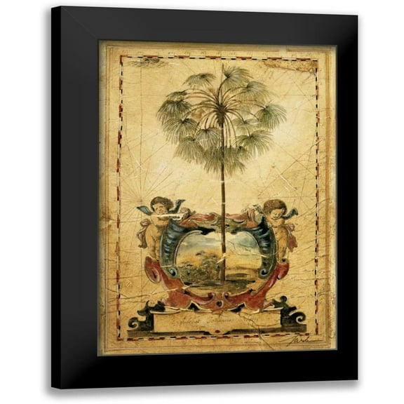 Jardine, Liz 11x14 Black Modern Framed Museum Art Print Titled - Paradise Palm