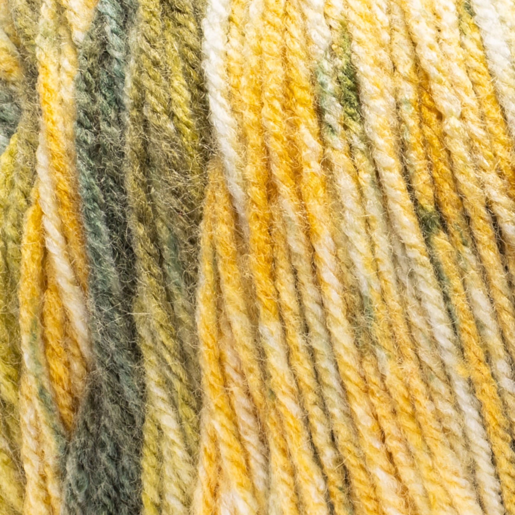 Red Heart® Super Saver Bitty Stripes™ #4 Worsted (Medium) Acrylic Yarn, Cactus 10oz/283g 515 Yards