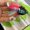 3 (20 g), variant on Large Surface Lures, 20 Grams for Long-Distance Casting, Similar to IMA-JACKALL-XLURE, Floating Rock-Style Small Chubby Cicada Series Baits