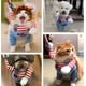 thumbnail image 4 of Disfraz de perro de muñeca mortal, divertido disfraz de perro, disfraz de fiesta de Halloween para perros, ropa de Navidad, ropa para mascotas adecuada para cachorros y perros medianos, M, 4 of 5