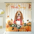 thumbnail image 3 of Happy Thanksgiving Basset Hound with Turkey Pumpkins Autumn Vibes Shower Curtain Bassets Dog Breed Lovers Gifts Idea Waterproof Bathroom Bathtub Curtain - 12018, 3 of 5
