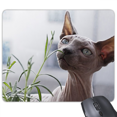 thumbnail image 1 of Animal Gray Thin Cat Photograph Mouse Pad Non-Slip Rubber Mousepad Game Office, 1 of 3