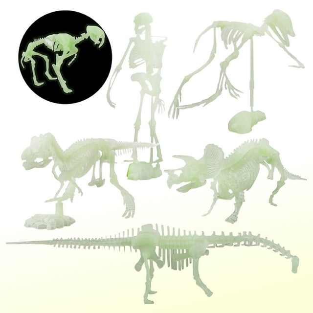 Gwong Juguete 6 unids Fósiles de dinosaurios juguete Habilidad de mano Desarrollo cerebral Detalles más pequeños Detalles Glow Dinosaurio Combo Juguetes para niños Gwong 30013436
