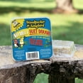 thumbnail image 4 of C & S Products No- Melt Suet Dough Woodpecker & Songbird Wild Bird Food, 10 oz- 8 Pack, Fresh (Pack of 2), 4 of 6
