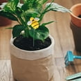 thumbnail image 1 of unbranded 10Ud Estacas Decorativas De Abeja Para Macetas Y Jardín En Metal Duradero, 1 of 8