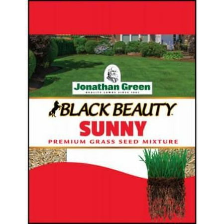 3 LB Full Sun Grass Seed Mixture Only One