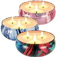 thumbnail image 1 of Scented Candles Gift Set, 3 x 13.5 Oz Natural Soy Wax Candles for Home Scented, Stress Relief, 3 Essential Oil Fragrances, Lilac, Peony & Cherry, Blue Campanula, 3Pack, 1 of 10