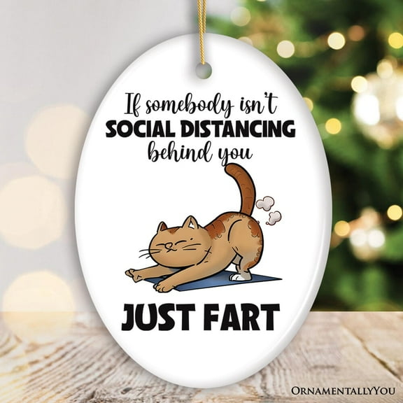 If Somebody Isn't Social Distancing Just Fart Quirky Cat, Cute and Funny Christmas Gift
