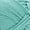 Succulent, variant on Lion Brand 24/7 Cotton® Yarn #4 Medium/Worsted Cotton Yarn 100g/170m 3-Pack