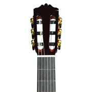 Cordoba C9 Parlor 7 8 Size Nylon String Classical Acoustic Guitar