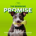 thumbnail image 6 of Benebone Essentials Rubber Bone, 6 of 6
