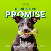 Benebone Essentials Rubber Bone