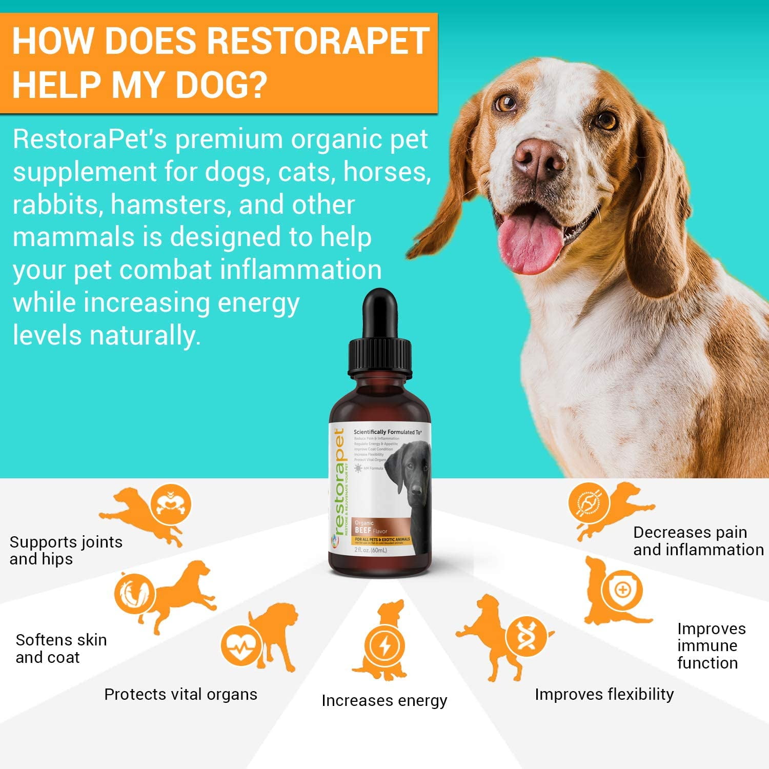 RestoraPet 1-Pack Organic Pet Supplement For Dogs, Cats & Horses