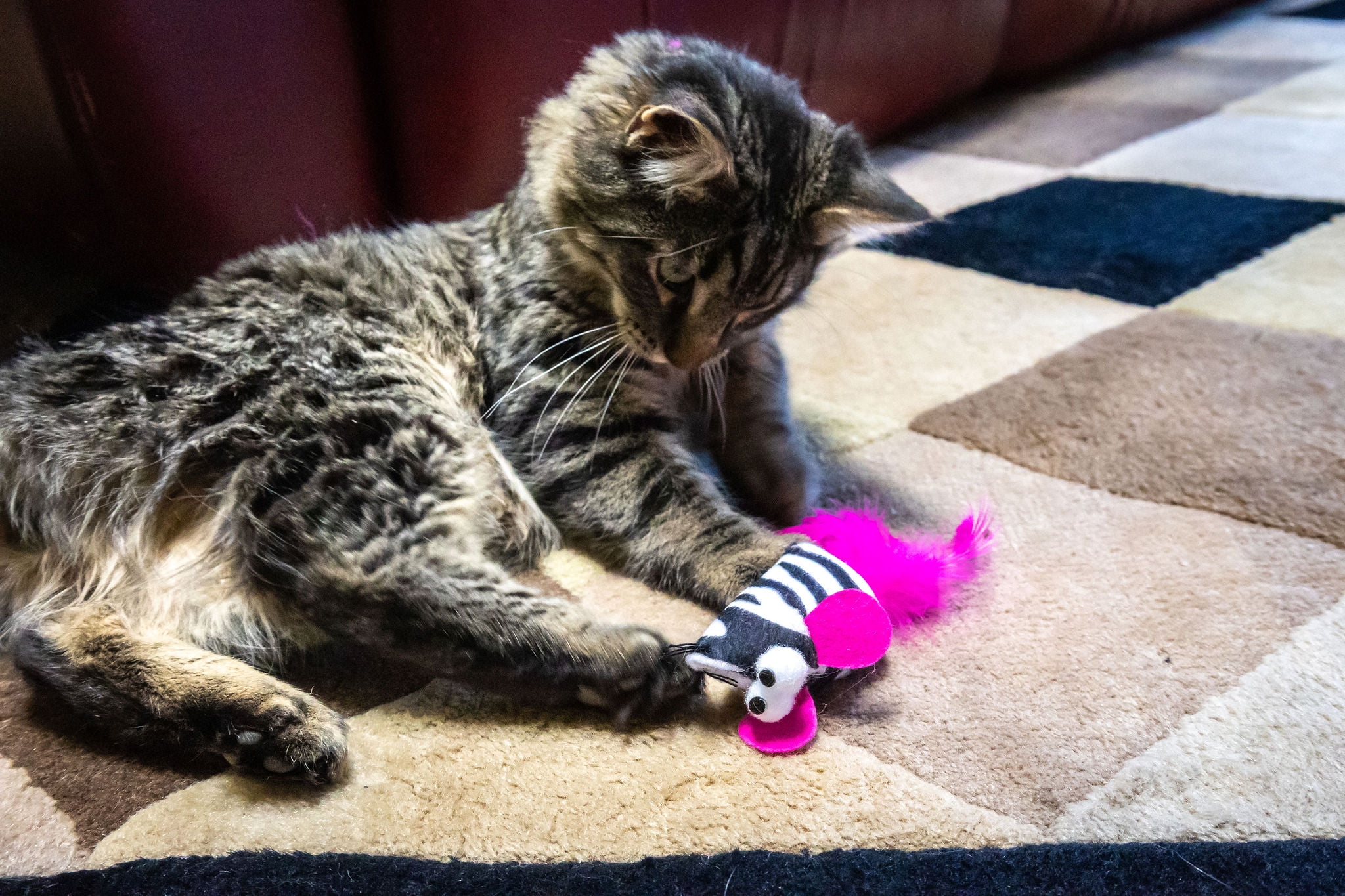 (2 pack) Vibrant Life Safari Feather Mice Cat Toy, Assorted Colors