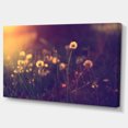 thumbnail image 3 of Design Art - Vintage Dandelion Meadow Photo, 3 of 4