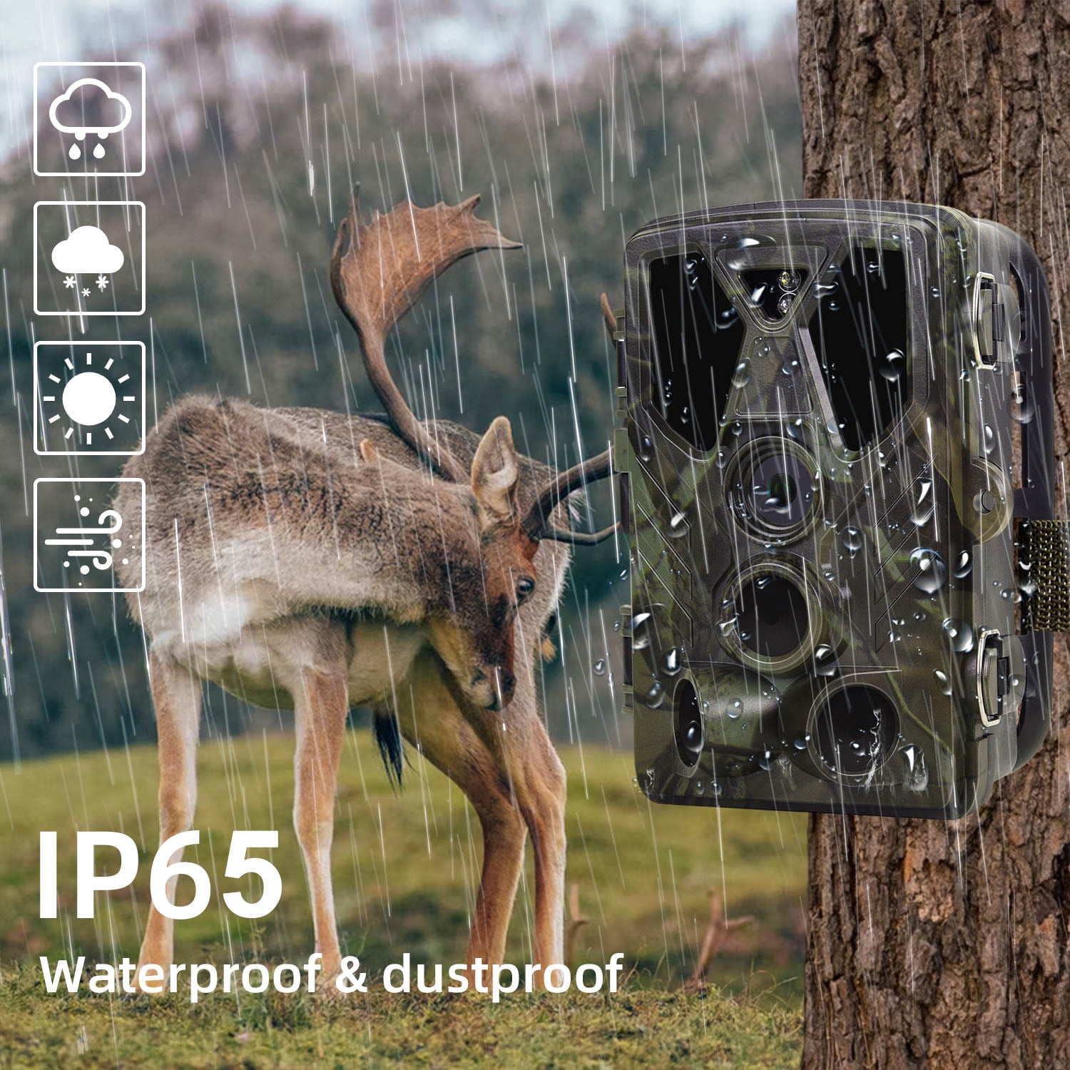 Suntekcam 36MP 4K Night Vision Hunting Trail Monitor with 32GB TF Card, Waterproof
