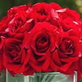 thumbnail image 3 of Enova Home Artificial Flowers 18 Heads Silk Roses Fake Flowers Arrangement in Cube Glass Vase with Faux Water for Home Office Wedding Decoration (Red), 3 of 4