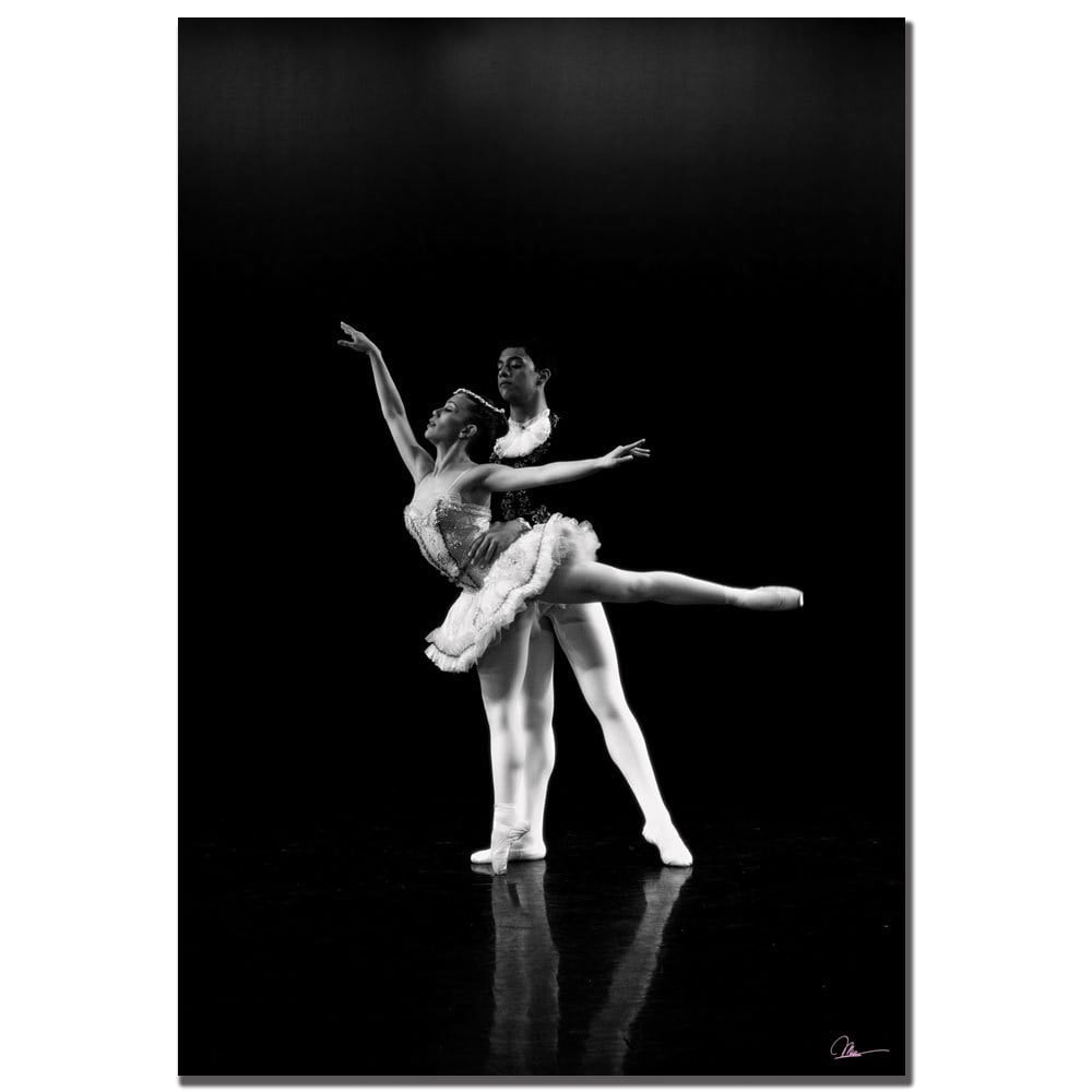Trademark Art "Dancers XIII" Canvas Art by Martha Guerra
