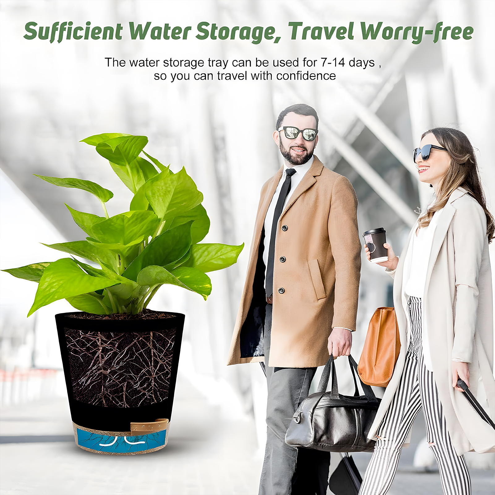 West Bay 6-Pack Self-Watering Plant Pots with Drainage, Black photo 6