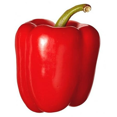 Pepper Sweet Big Red Great Heirloom Vegetable By Seed Kingdom 50 (Best Way To Grow Peppers From Seed)