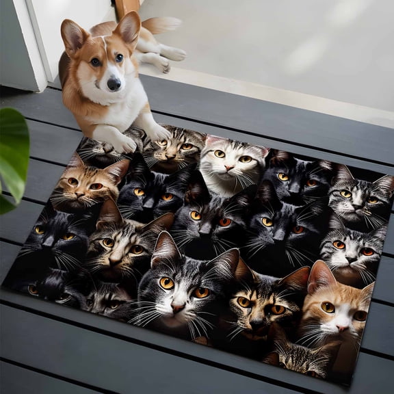Cat 2x3 Area Rugs for Living Room, Pet Animal Cat Ears Eyes Non Slip Floor Mat Washable Low-Profile Indoor Carpet for Bedroom, Dining Room, Bathroom