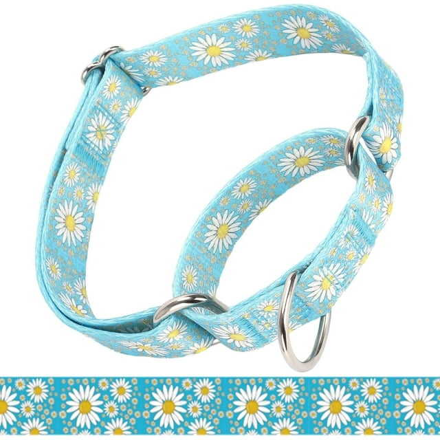 czcpp-Martingale Collar for Medium Dogs, Girl Dog Collar with Daisy Flowers, Heavy Duty No Pull Dog Collar Floral Design Dog Training Collar, Perfect for Training, Walking, Hunting (Light Blue, M)