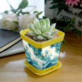 thumbnail image 5 of HemaKayy Decorative Planter Pot Set - Perfect for Small Plants - Colorful Design With Drainage Hole - Ideal for Home and Garden Decor - Set of 8 - Unique Marble Texture, 5 of 6