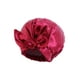 thumbnail image 1 of SAYOO Gorro de ducha impermeable para mujer, color sólido/flor/estampado de puntos/sombrero lavable para el cabello de salón de baño de leopardo SAYOO  Moda, 1 of 1