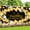 A, variant on Konghyp Graduation Decorations Banner 2024 – Congratulations Graduation Banner with Photo Backgrounds; Perfect for Celebrating Graduation Day and Making Memorable Photos.