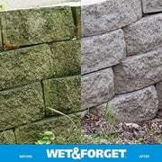 Wet & Forget Outdoor Moss, Mold, Mildew, Algae Stain Remover Multi-Surface Cleaner, Ready to Use, 64 Fluid Ounces, 4 Pack