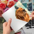 thumbnail image 5 of NobleWorks Zen Dog - Miss You Greeting Card with Envelope (4.63 x 6.75 Inch) - C9605MYG, 5 of 5