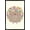 Black Framed Version, variant on Andy Westface - Porcupine Give Me A Hug Wall Poster, 14.725" x 22.375"