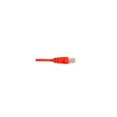 thumbnail image 4 of 3FT CAT6 RED UTP PVC SNAGLESS PVCSNAGLESS RED, 4 of 5
