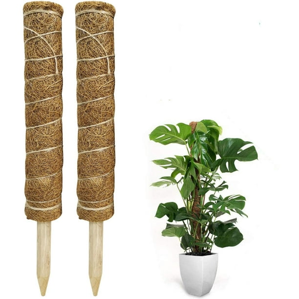 Moss stick, 2 pieces 40 cm climbing aid, extendable Natural planting
