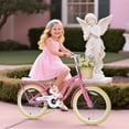 thumbnail image 5 of Ambifirner 20 Inch Bike with Basket - No Training Wheels, Carbon Steel Frame, Easy Assembly, Multiple Colors for 7-10 Year Olds, 5 of 9