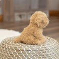 thumbnail image 3 of Labradoodle Small Plush Puppy, Dog Stuffed Animal, 7.8 inch, 3 of 4