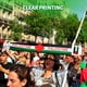 thumbnail image 4 of Great promotion! Palestinian Flag Palestine Decorative Outdoor Garden Palestinian Scarf, 4 of 4