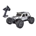 thumbnail image 4 of 1:16 RC Car 38KM / H Todo terreno Truck Toys Racing con pegatinas de bricolaje IPX4 a prueba de agua para , Blanco Baoblaze Camión RC de alta velocidad, 4 of 8