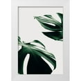 thumbnail image 1 of Artographie Studio 23x32 White Modern Wood Framed Museum Art Print Titled - Monstera Natural 11, 1 of 4