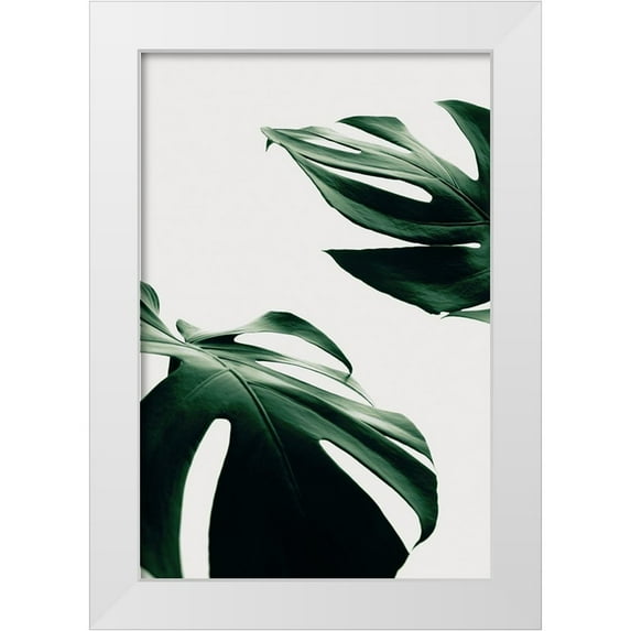Artographie Studio 23x32 White Modern Wood Framed Museum Art Print Titled - Monstera Natural 11