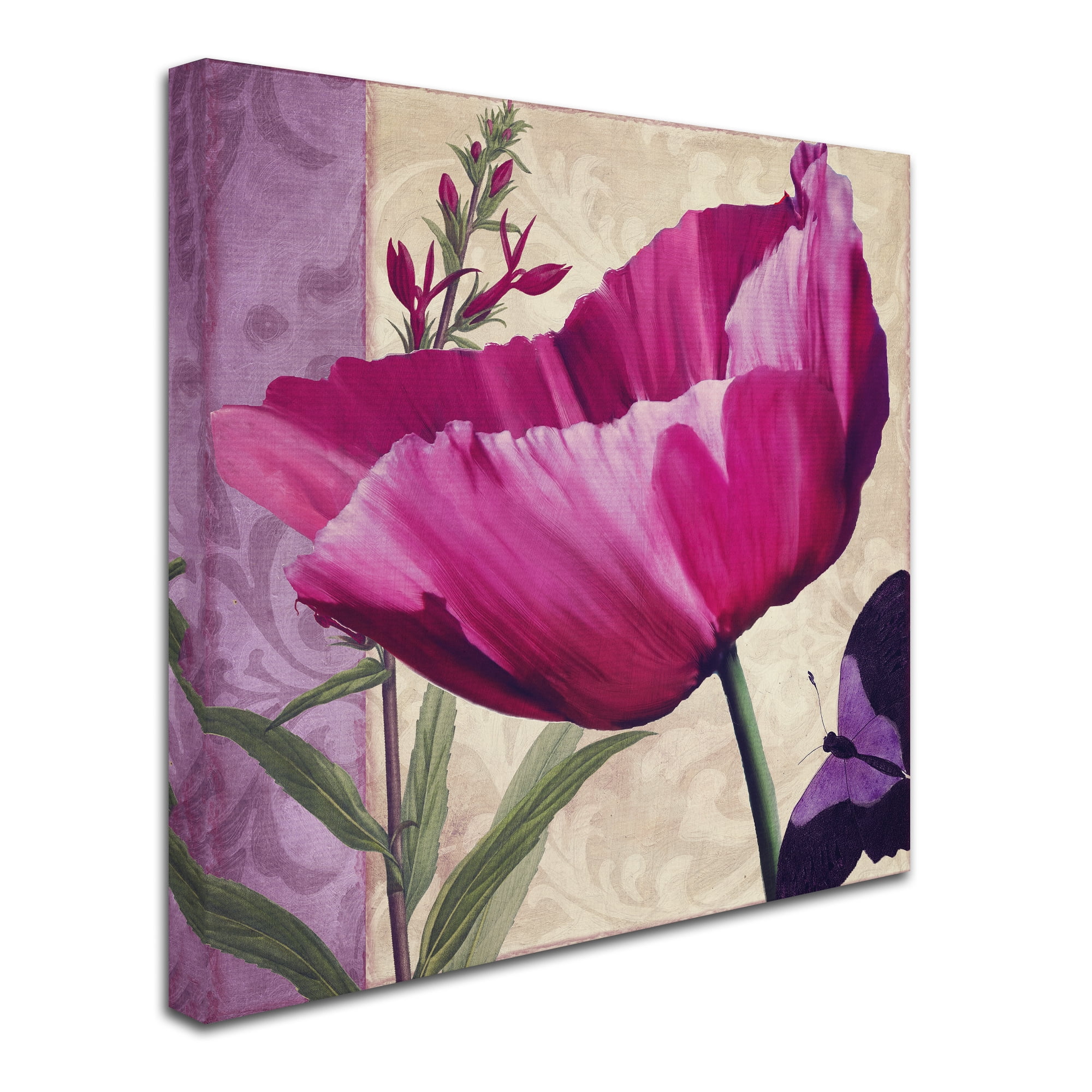 Trademark Fine Art " Pink Poppy I " Canvas Art by Color Bakery