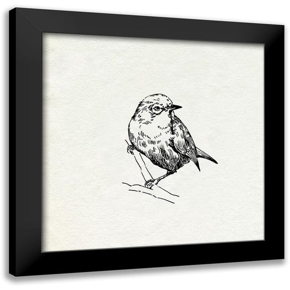 Caroline, Emma 12x12 Black Modern Framed Museum Art Print Titled - Bird Feeder Friends III