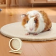 thumbnail image 6 of Hamster Toys Silent Wooden Hamster Wheel for Small Animals Ideal for Hamsters and Gerbils Sturdy and Exercise, 6 of 6