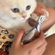 thumbnail image 5 of Cats Grooming Wrap Self-Adherent Scratch Escape Calming Wrap For Nail Clipping- Multifunctional Pet Tool, 5 of 9