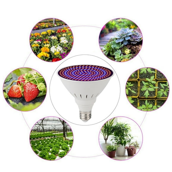 Plant Light, Garden Plant Light, Low Energy Consumption Basement Vegetable For Flower Flower Planting