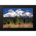 thumbnail image 2 of Taylor, Douglas 14x11 Black Modern Framed Museum Art Print Titled - Indian Paintbrush, 2 of 5