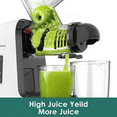 thumbnail image 6 of SiFENE Cold Press Juicer Machine - 250W Slow Masticating, BPA Free - White, 6 of 7