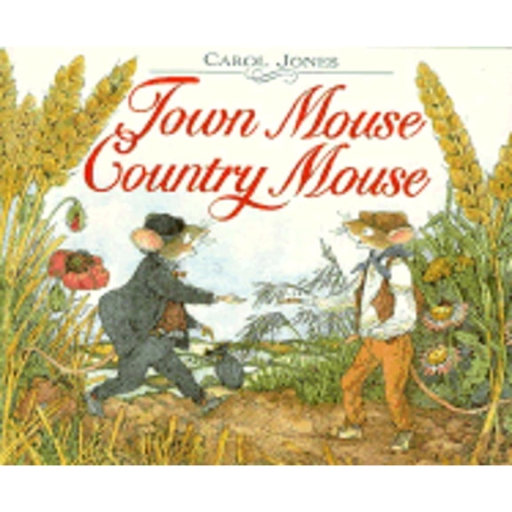 Pre-Owned Town Mouse Country Mouse (Hardcover) 0395711290 9780395711293