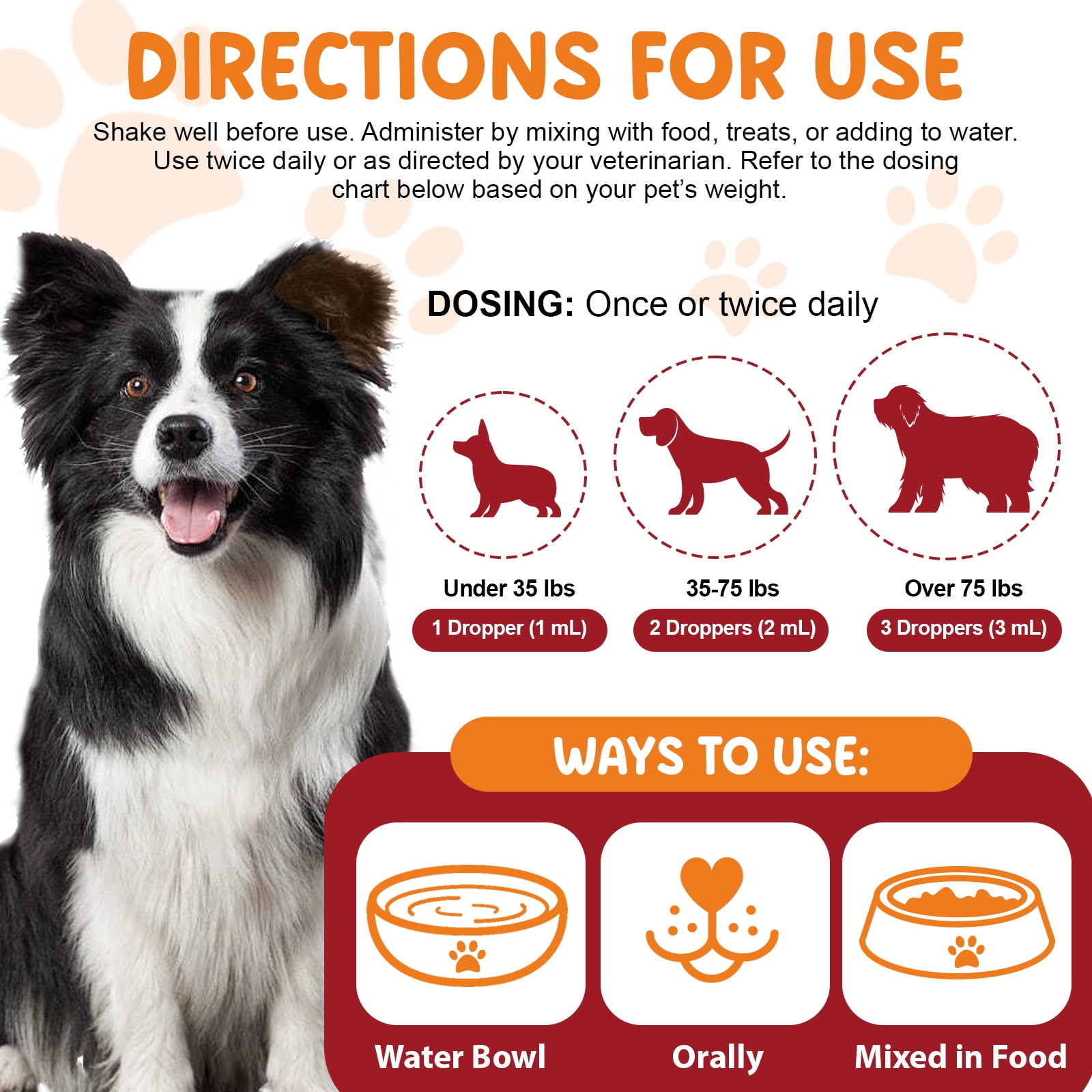 Petpya Iron Supplement for Dogs 3PC with B12 & Folate – Promotes Red Blood Cells, Fights Fatigue & Supports Recovery Dog Appetite Booster 60ml