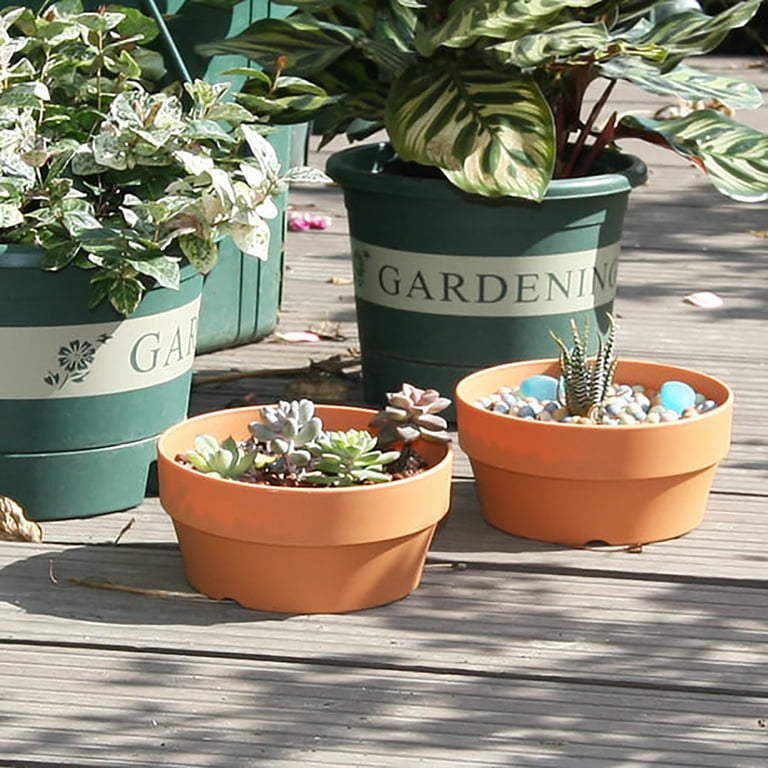 pdqouc Clearance 6 Inch Terracotta Shallow Planters,Ceramic Flower Clay Plant  Pots with Drainage Hole,Unglazed Cactus/succlent Plant Containers Indoor  Garden Bonsai Pots - Walmart.com